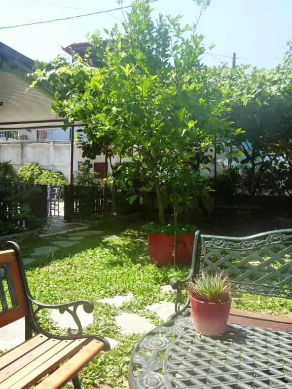Helena Appartement Paralia Panteleimonos